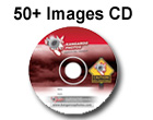 Ordering 50+ Images on CD